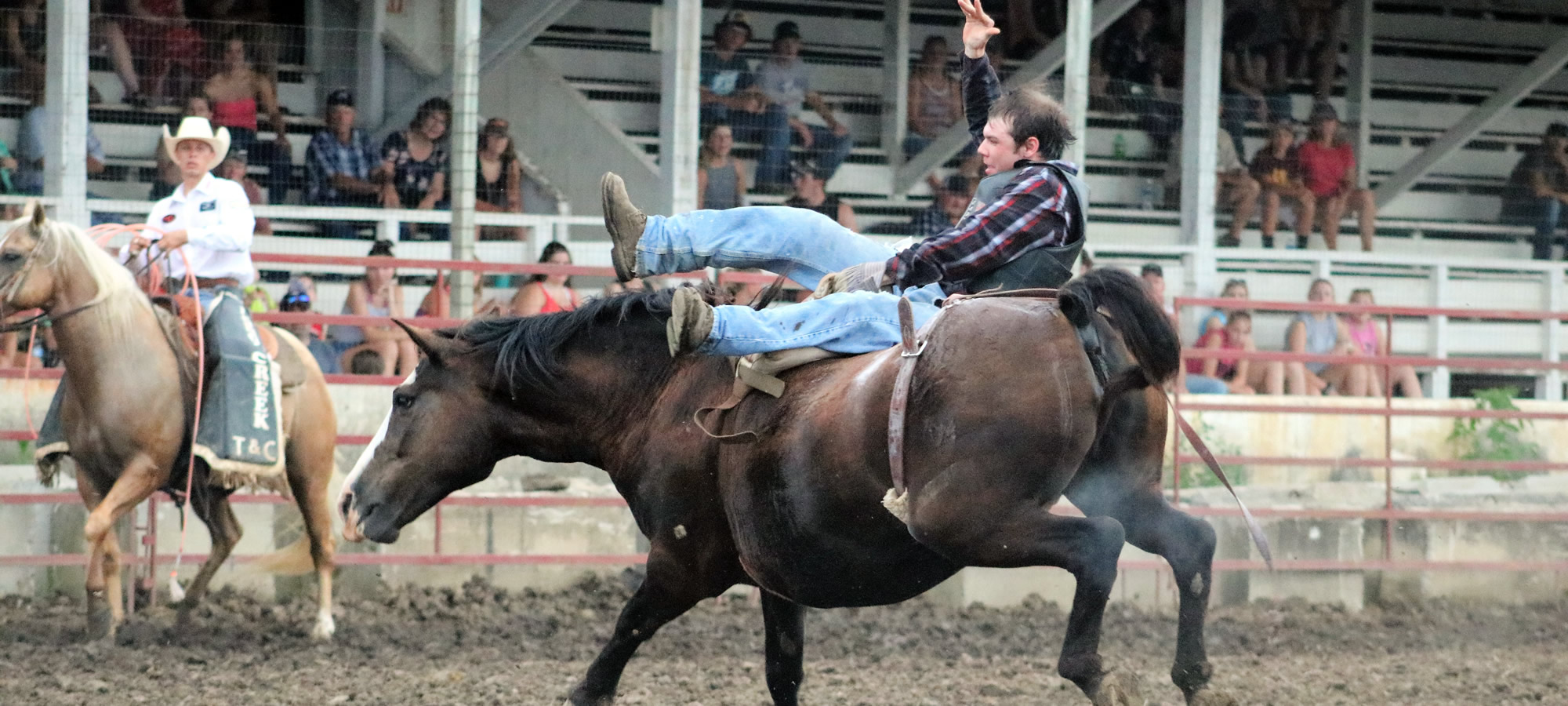 Fillmore County Fair Rodeo