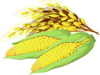 Fillmore County Fair Open Class Farm Products