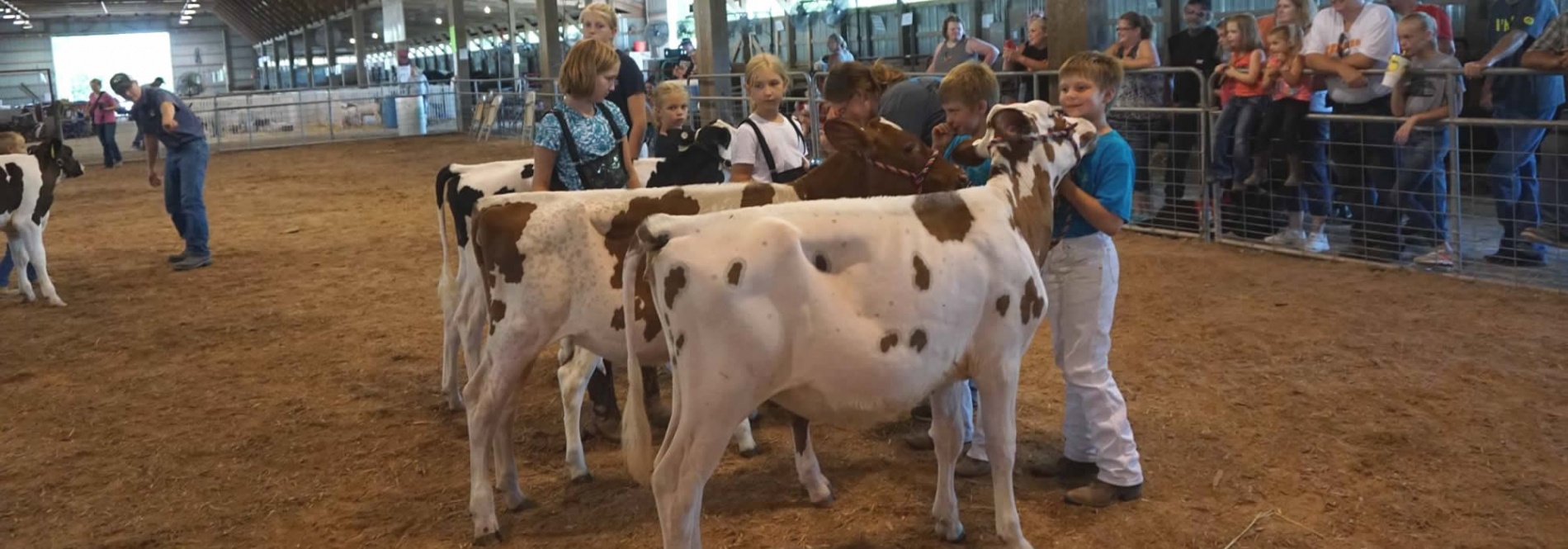 Fillmore County Fair Family Tradition Since 1858