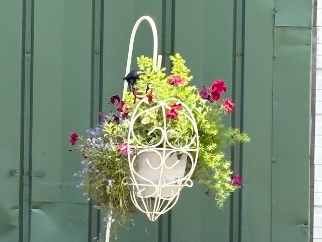 Enjoy the beautiful flowers!